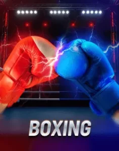 PHG80 boxing event with fighters competing under bright arena lights